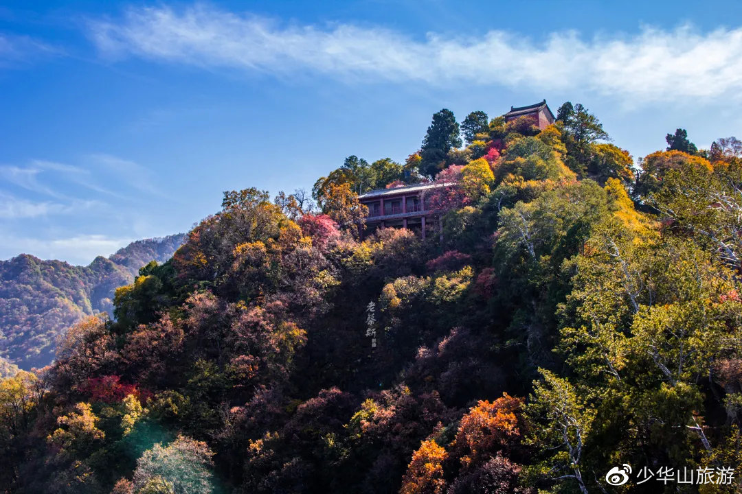 賞紅葉，赢大(dà)獎！少華山第十二屆紅葉節驚喜不斷，福利多(duō)多(duō)！(圖6)