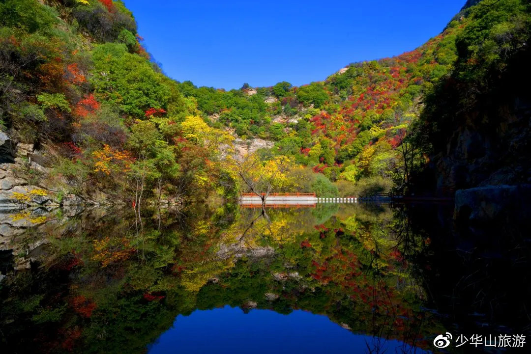 賞紅葉，赢大(dà)獎！少華山第十二屆紅葉節驚喜不斷，福利多(duō)多(duō)！(圖8)