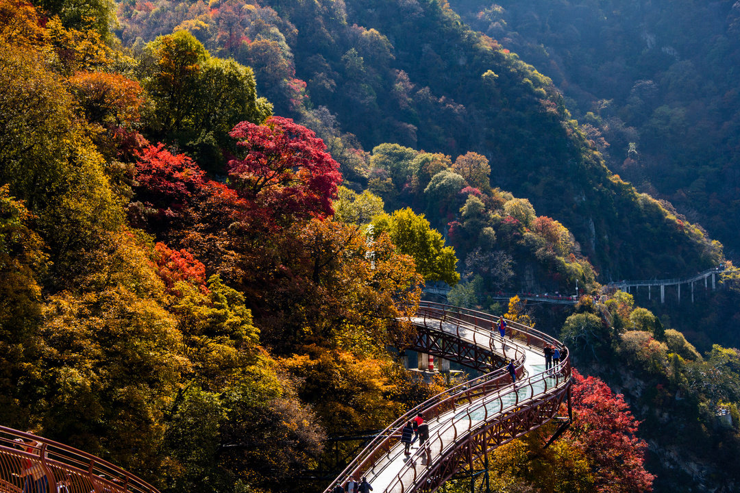 十一小長(cháng)假完美(měi)收官！少華山景區(qū)精彩集錦看這(zhè)裏！(圖53)