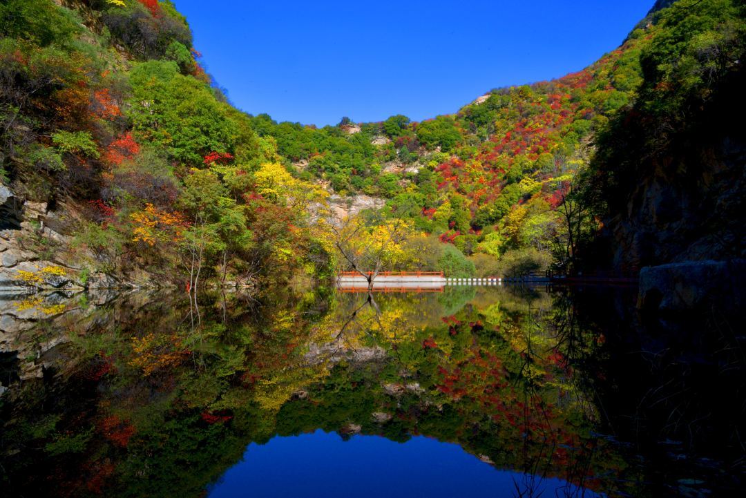 十一小長(cháng)假完美(měi)收官！少華山景區(qū)精彩集錦看這(zhè)裏！(圖55)