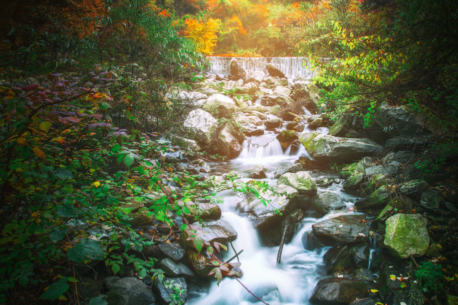 十一小長(cháng)假完美(měi)收官！少華山景區(qū)精彩集錦看這(zhè)裏！(圖56)