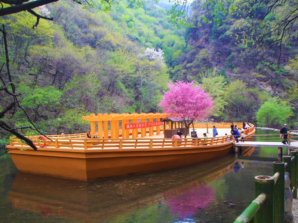 你在那裏看沙塵，我在少華賞春花