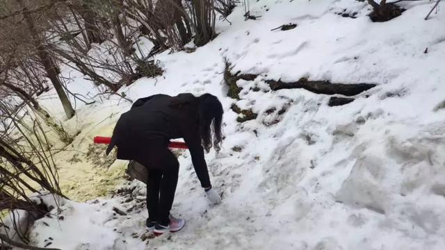 【華山西峰索道】太華索道公司組織幹部職工開展學雷鋒志願服務活動(圖11)